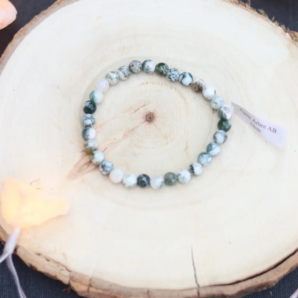 AGATE ARBRE VUE DU HAUT