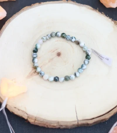 AGATE ARBRE VUE DU HAUT