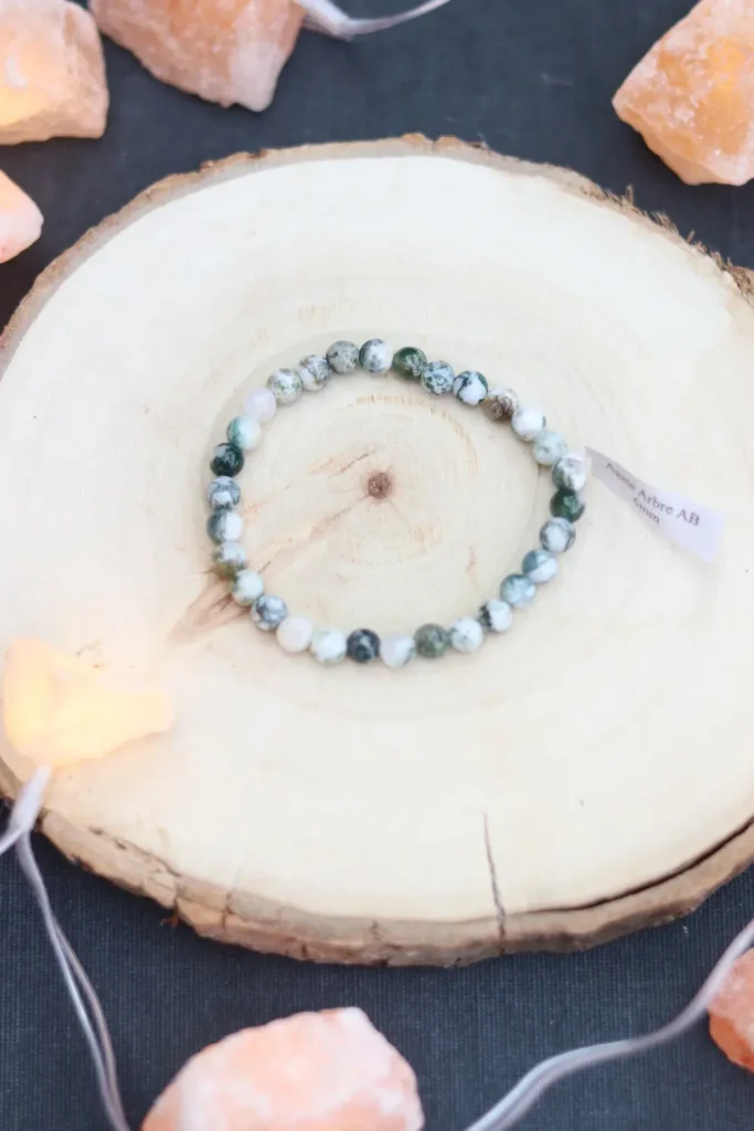 AGATE ARBRE VUE DU HAUT