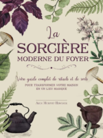 la sorcière moderne du foyer