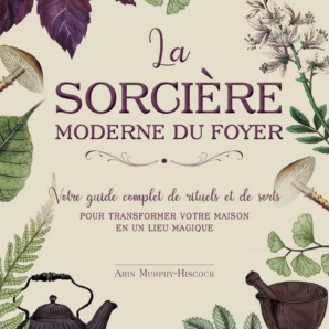 la sorcière moderne du foyer
