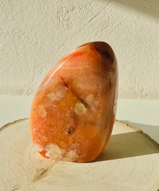 CORNALINE 413 G R1 CORNALINE 413 G R1